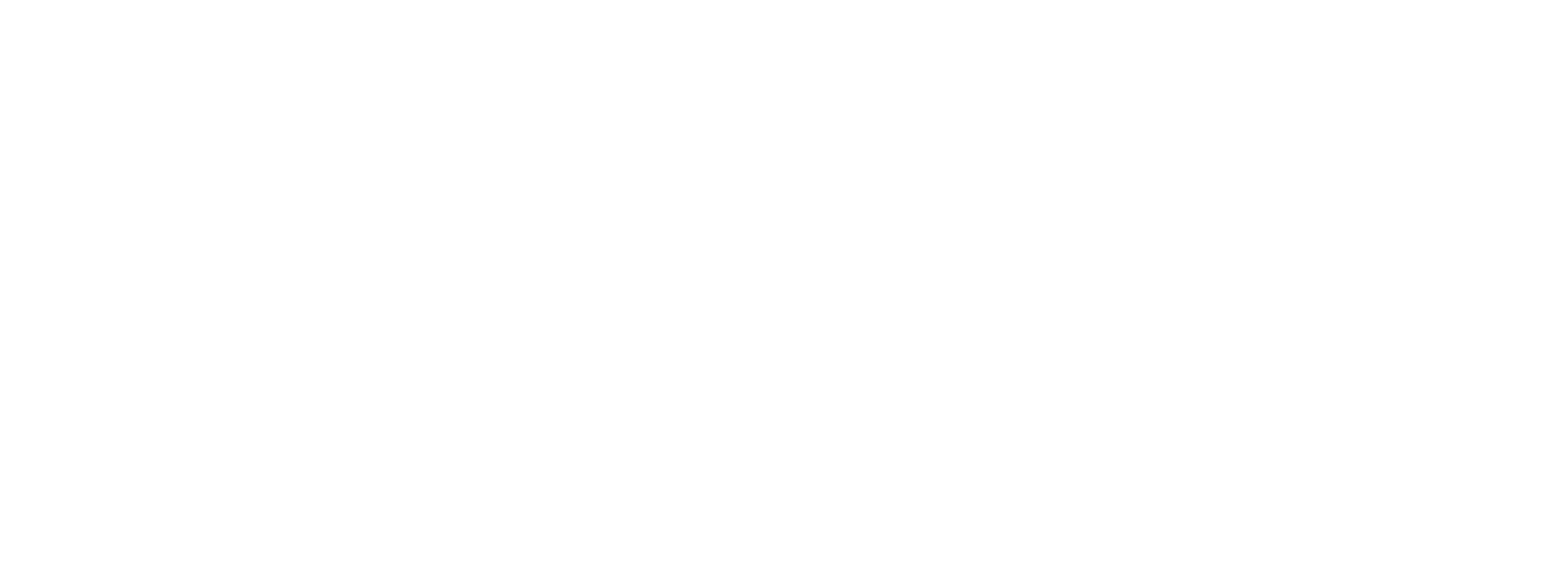 YMCA International Language School - Logo